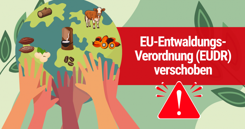 EU-Entwaldungsverordnung (EUDR) verschoben: Was Unternehmen jetzt wissen müssen